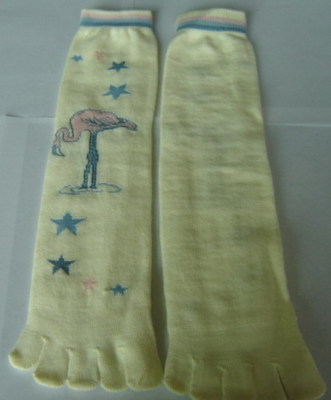 五趾袜 银丰针纺织品的匠心之选